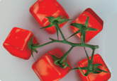eckige-tomaten