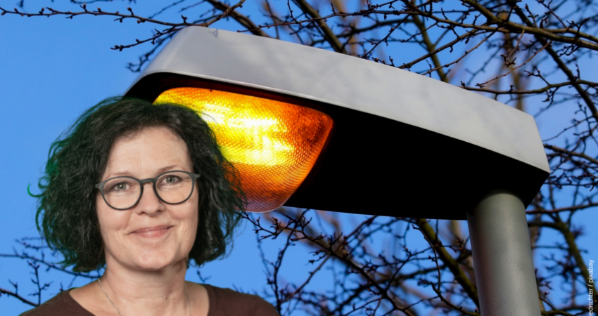 Manuela Tschök-Engelhardt vor einer Laterne mit Natriumdampflampe