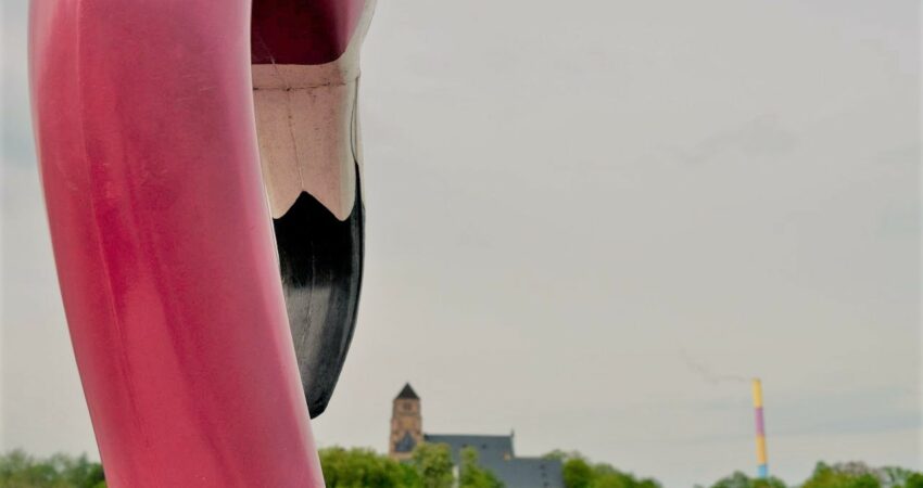 Ein Flamingo-Tretboot auf dem Schlossteich